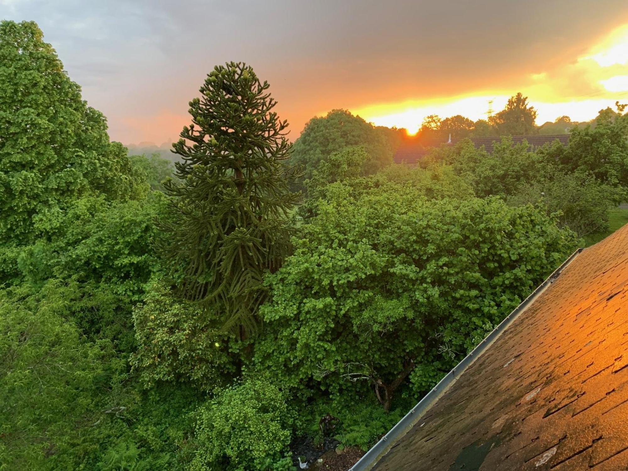 Le Petit Manoir Bed & Breakfast Isigny-le-Buat Екстериор снимка